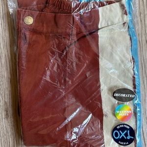 Big Bud Press Painted Stripe Western Pants, Burnt Terracotta, 0XL